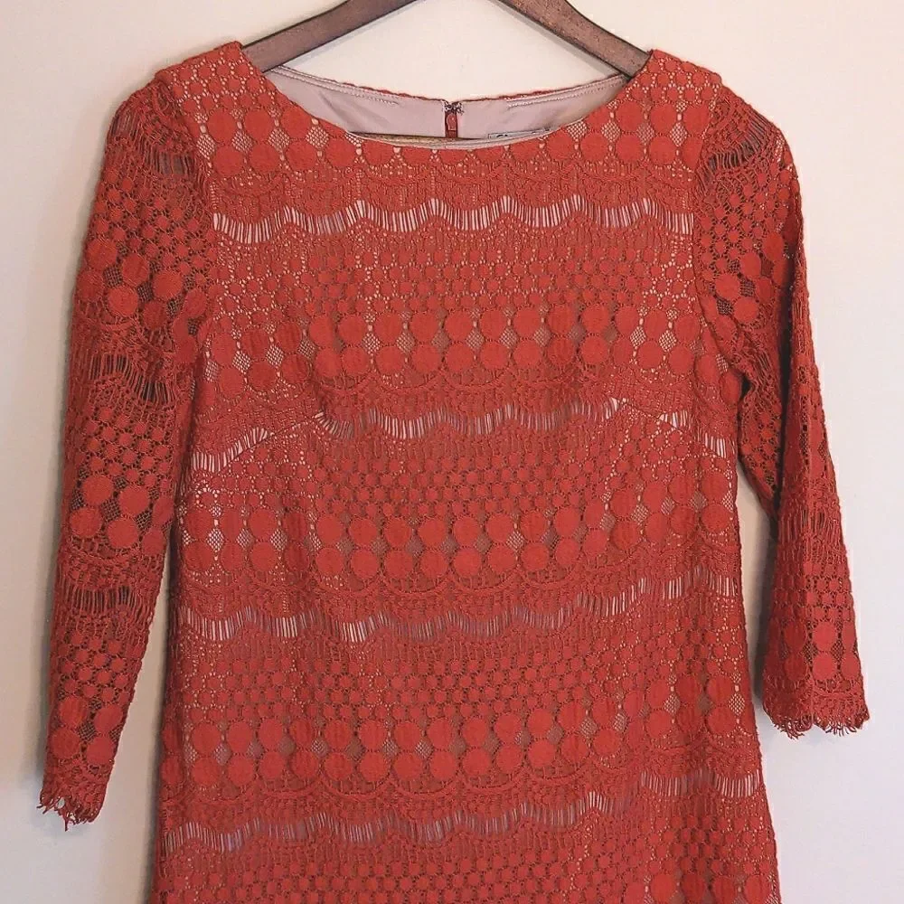 Eliza J Orange Embroidered Lace Overlay Boatneck Sheath Dress 6